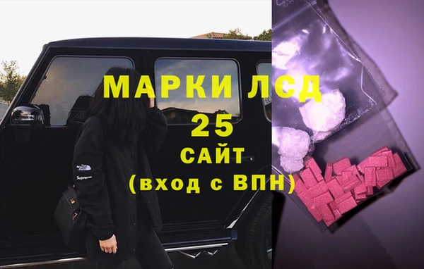 прущие грибы Гусев