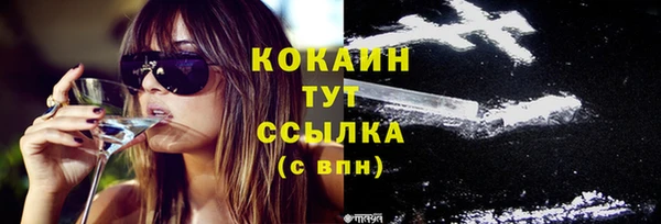 прущие грибы Гусев