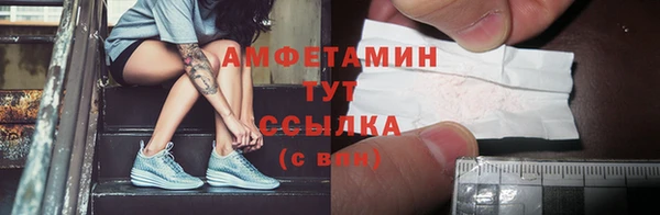 прущие грибы Гусев