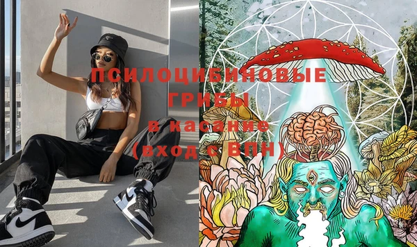 прущие крисы Гусиноозёрск