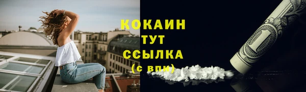 прущие грибы Гусев