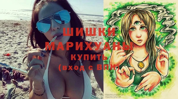 прущие грибы Гусев