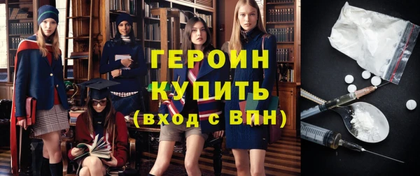 прущие грибы Гусев