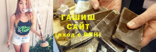 прущие грибы Гусев