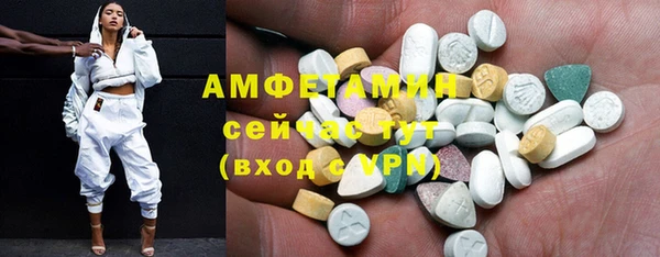 прущие грибы Гусев