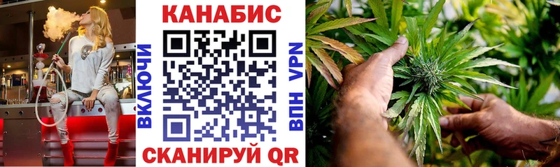 Купить  Копейск  МАРИХУАНА сатива 